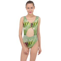 One More Bottle Does Not Hurt Center Cut Out Swimsuit by FunnyCow