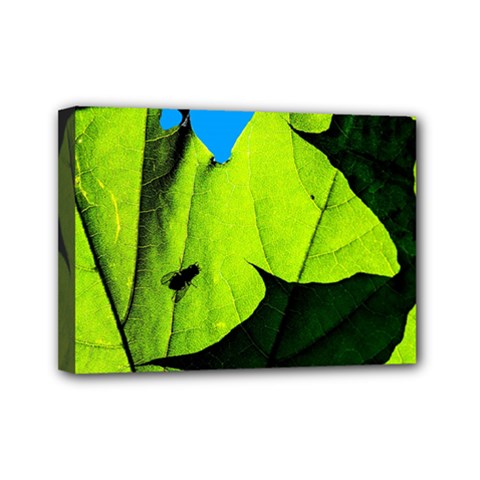 Window Of Opportunity Mini Canvas 7  X 5  (stretched) by FunnyCow