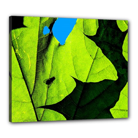 Window Of Opportunity Canvas 24  X 20  (stretched) by FunnyCow