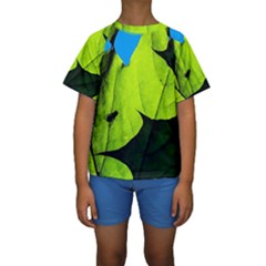 Window Of Opportunity Kids  Short Sleeve Swimwear by FunnyCow