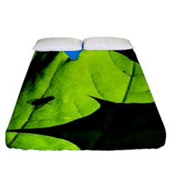 Window Of Opportunity Fitted Sheet (california King Size) by FunnyCow