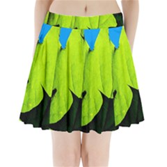 Window Of Opportunity Pleated Mini Skirt by FunnyCow