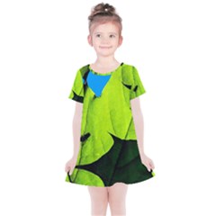 Window Of Opportunity Kids  Simple Cotton Dress by FunnyCow