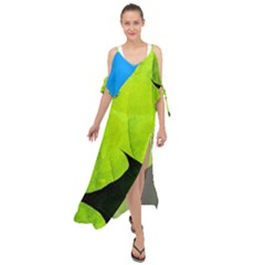 Window Of Opportunity Maxi Chiffon Cover Up Dress by FunnyCow