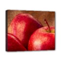 Three Red Apples Canvas 10  x 8  (Stretched) View1