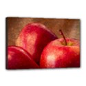 Three Red Apples Canvas 18  x 12  (Stretched) View1