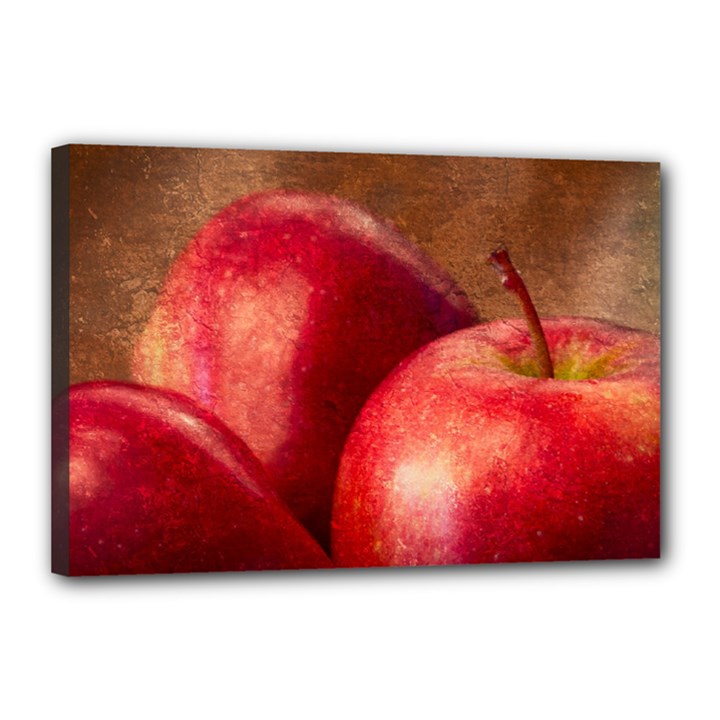 Three Red Apples Canvas 18  x 12  (Stretched)