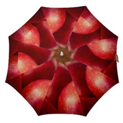 Three Red Apples Straight Umbrellas by FunnyCow