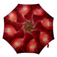 Three Red Apples Hook Handle Umbrellas (small) by FunnyCow