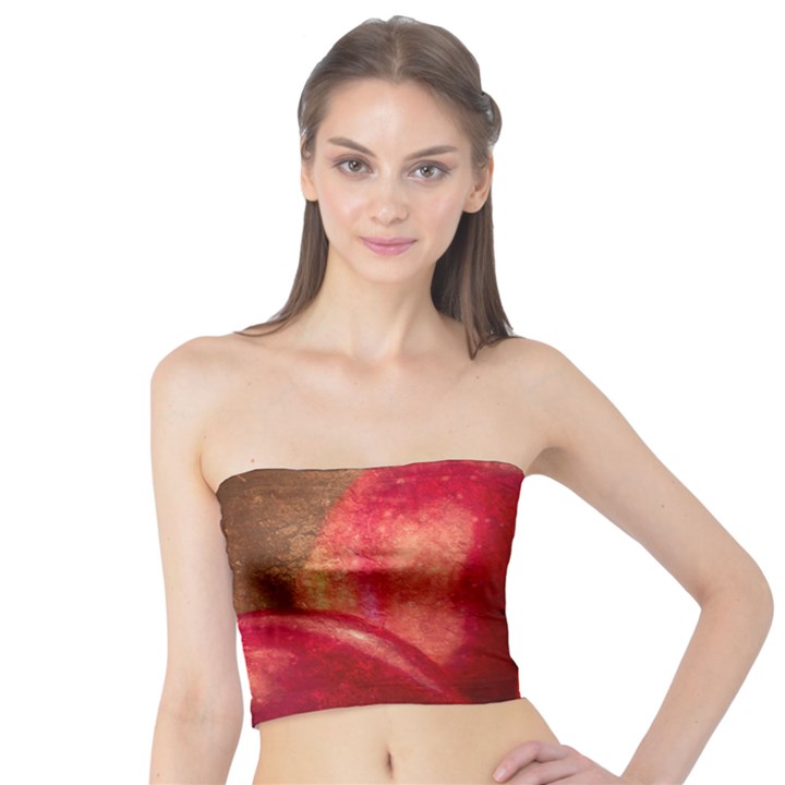 Three Red Apples Tube Top