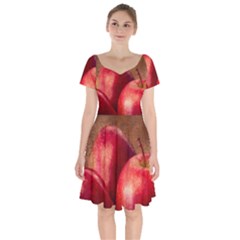 Three Red Apples Short Sleeve Bardot Dress by FunnyCow