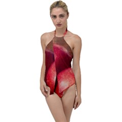 Three Red Apples Go With The Flow One Piece Swimsuit by FunnyCow