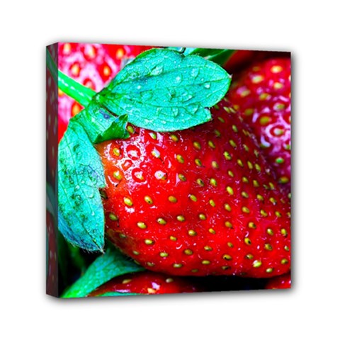 Red Strawberries Mini Canvas 6  X 6  (stretched) by FunnyCow