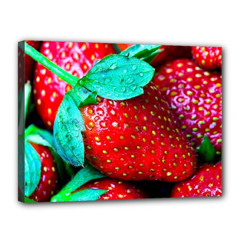 Red Strawberries Canvas 16  X 12  (stretched) by FunnyCow