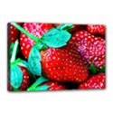 Red Strawberries Canvas 18  x 12  (Stretched) View1