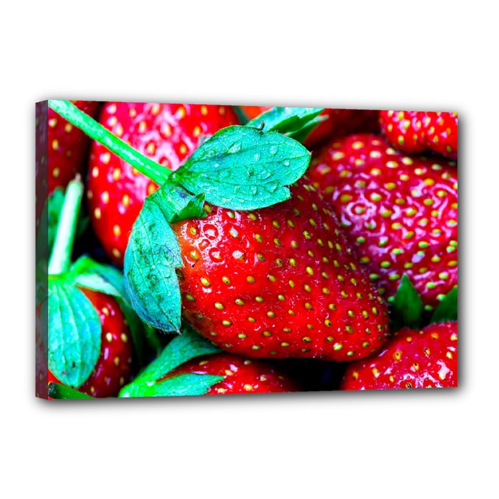 Red Strawberries Canvas 18  x 12  (Stretched)