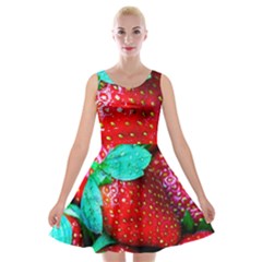 Red Strawberries Velvet Skater Dress by FunnyCow