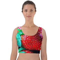 Red Strawberries Velvet Crop Top by FunnyCow