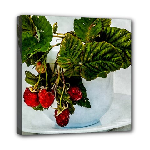 Red Raspberries In A Teacup Mini Canvas 8  X 8  (stretched) by FunnyCow