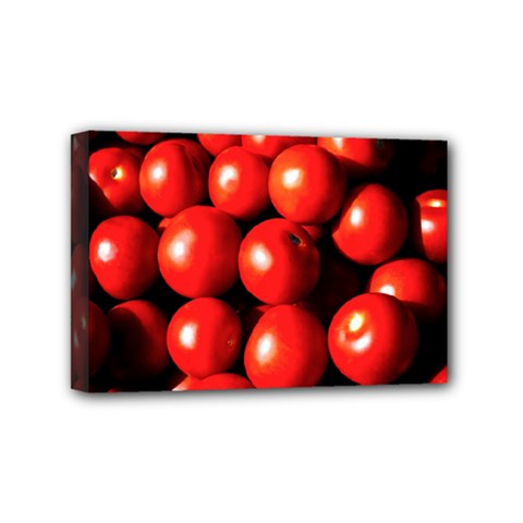 Pile Of Red Tomatoes Mini Canvas 6  X 4  (stretched) by FunnyCow