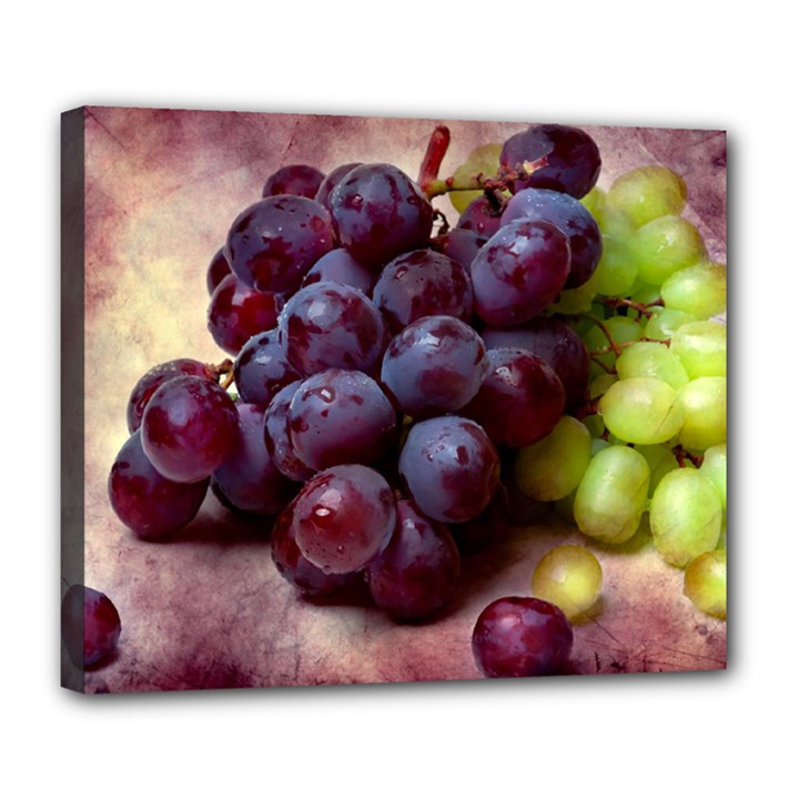 Red And Green Grapes Deluxe Canvas 24  x 20  (Stretched)