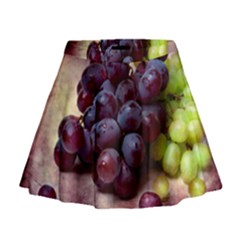 Red And Green Grapes Mini Flare Skirt by FunnyCow