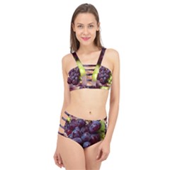 Red And Green Grapes Cage Up Bikini Set by FunnyCow