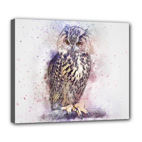 Bird 2552769 1920 Deluxe Canvas 24  X 20  (stretched) by vintage2030