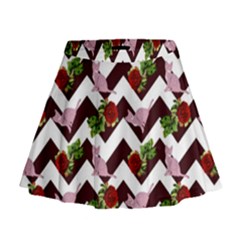 Cat Rose Chevron Mini Flare Skirt by snowwhitegirl