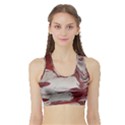 Turmoil Sports Bra with Border View1