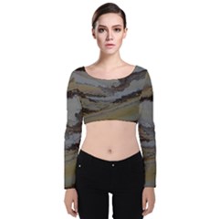 Gold Seam 2 Velvet Crop Top by WILLBIRDWELL