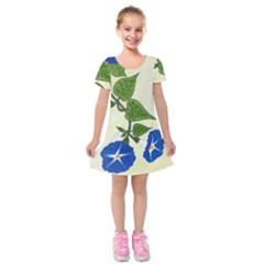 Morning Glory Kids  Short Sleeve Velvet Dress