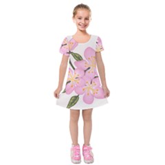 Pink Flowers Kids  Short Sleeve Velvet Dress by lwdstudio