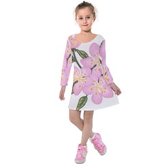 Pink Flowers Kids  Long Sleeve Velvet Dress by lwdstudio