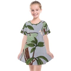 Lunar Moths Kids  Smock Dress by lwdstudio