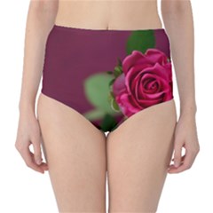 Rose 693152 1920 Classic High-waist Bikini Bottoms by vintage2030