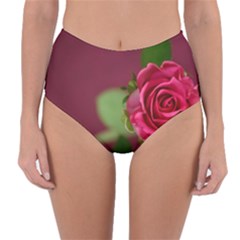 Rose 693152 1920 Reversible High-waist Bikini Bottoms by vintage2030