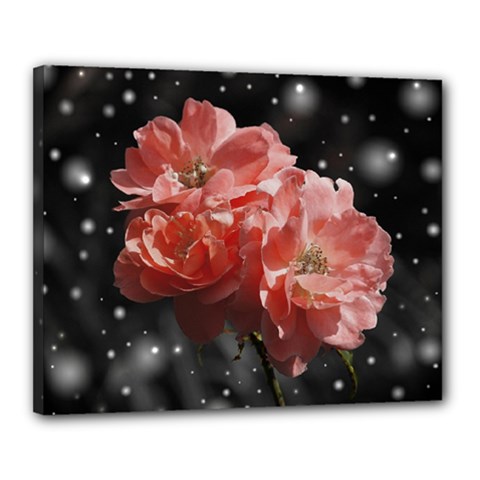 Rose 572757 1920 Canvas 20  X 16  (stretched) by vintage2030