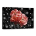 Rose 572757 1920 Canvas 18  x 12  (Stretched) View1