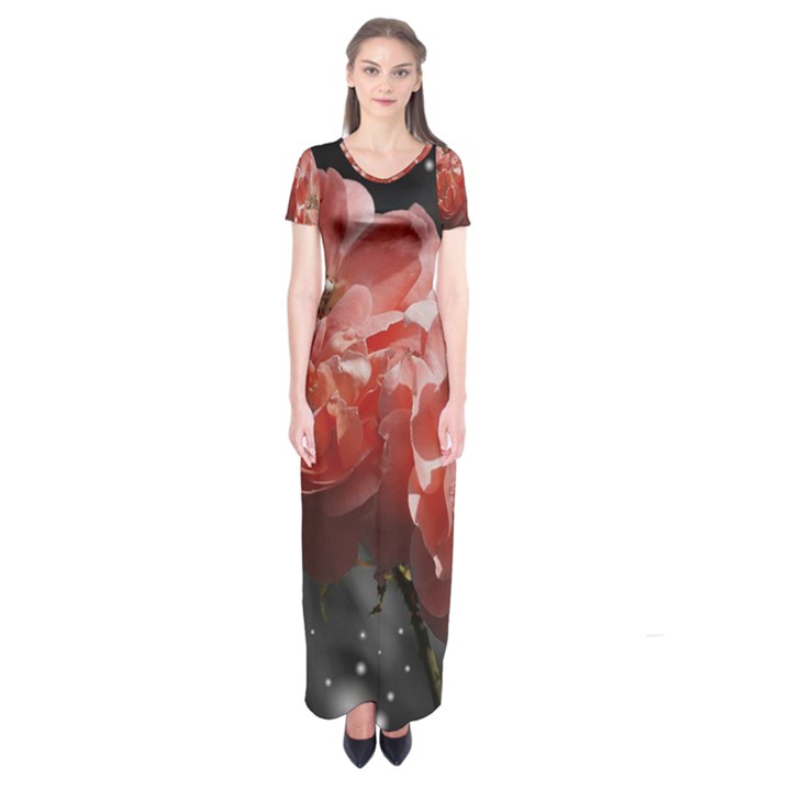 Rose 572757 1920 Short Sleeve Maxi Dress