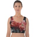 Rose 572757 1920 Velvet Crop Top View1