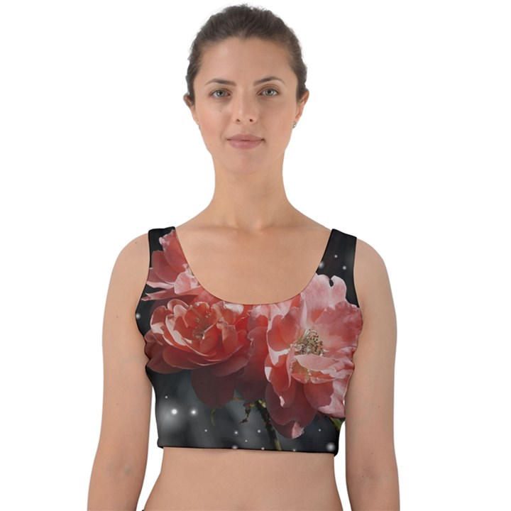 Rose 572757 1920 Velvet Crop Top