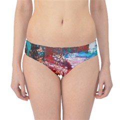 Graden 3 Hipster Bikini Bottoms by WILLBIRDWELL