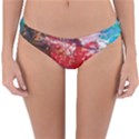 GRADEN 3 Reversible Hipster Bikini Bottoms View1