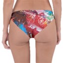 GRADEN 3 Reversible Hipster Bikini Bottoms View2