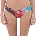 GRADEN 3 Reversible Hipster Bikini Bottoms View3