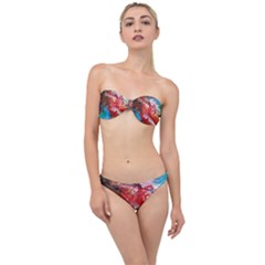 Graden 3 Classic Bandeau Bikini Set by WILLBIRDWELL