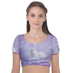 Cute Little Maltese, Soft Colors Velvet Short Sleeve Crop Top  by FantasyWorld7