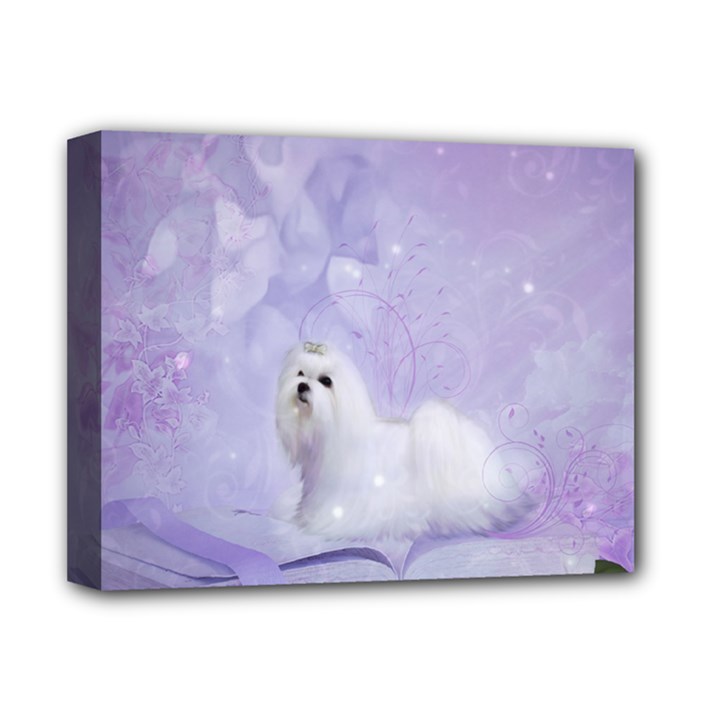 Cute Little Maltese, Soft Colors Deluxe Canvas 14  x 11  (Stretched)