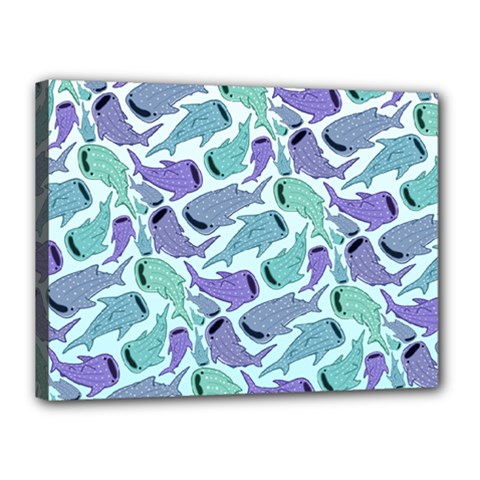 Whale Sharks Canvas 16  X 12  (stretched) by mbendigo